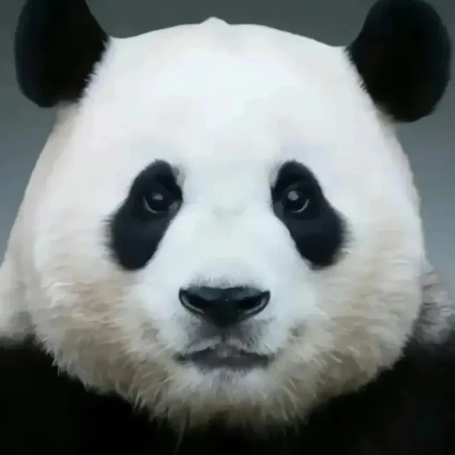 당근하세요
