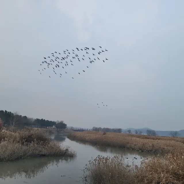 사이다