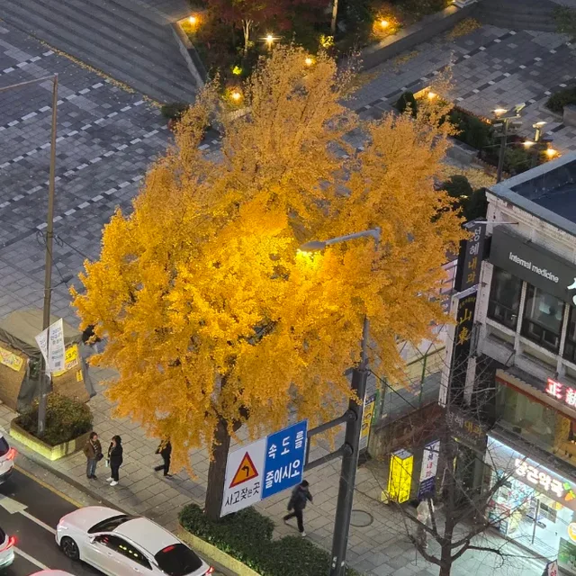 보바킴