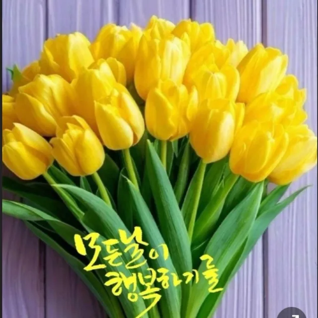 다채움