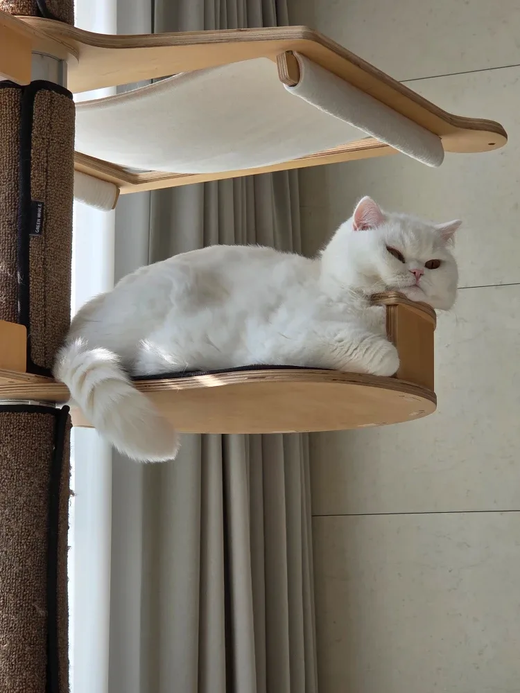 재영쓰