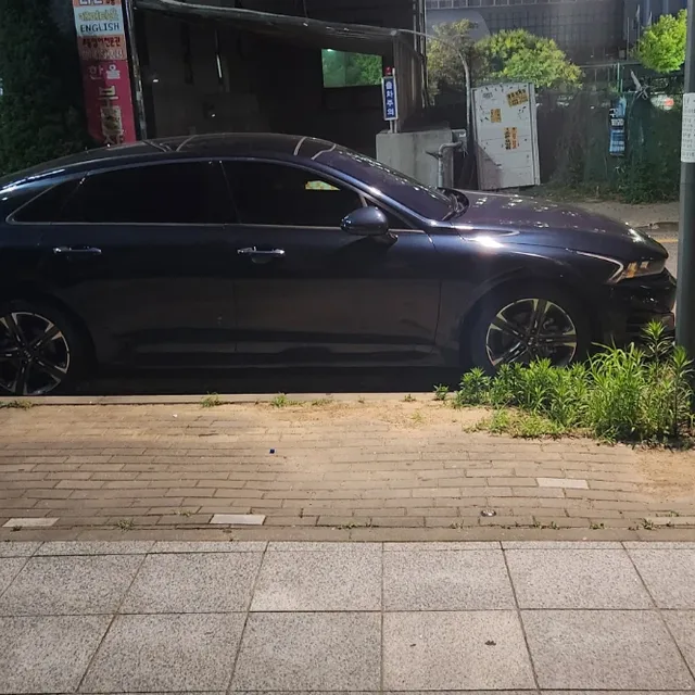 청상아리