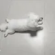 희동동