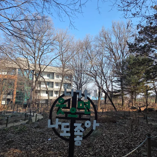 당근조아