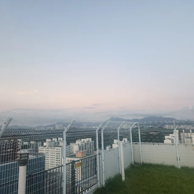그래맞아
