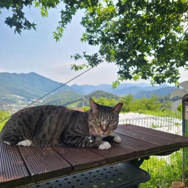 초여름