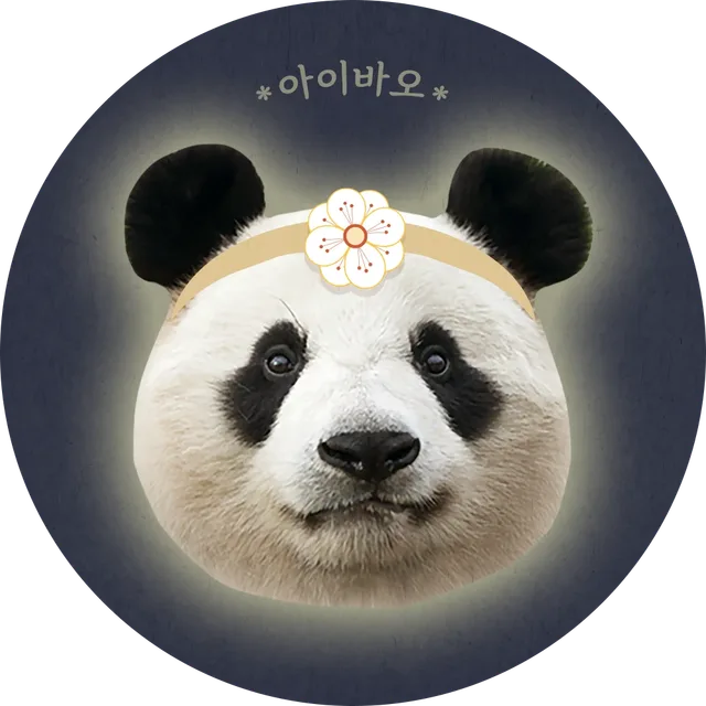 아기바오