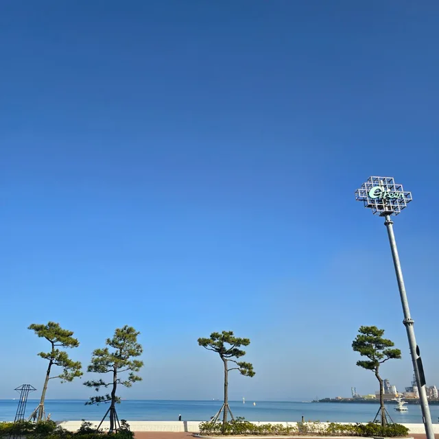 잘될거야뭐든지