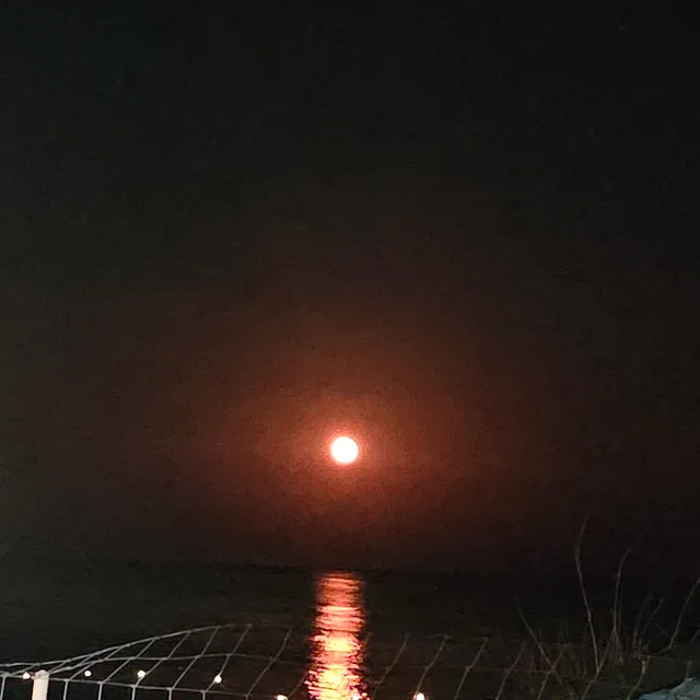 그루그루