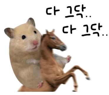 밍밍밍
