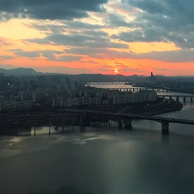 아보카도