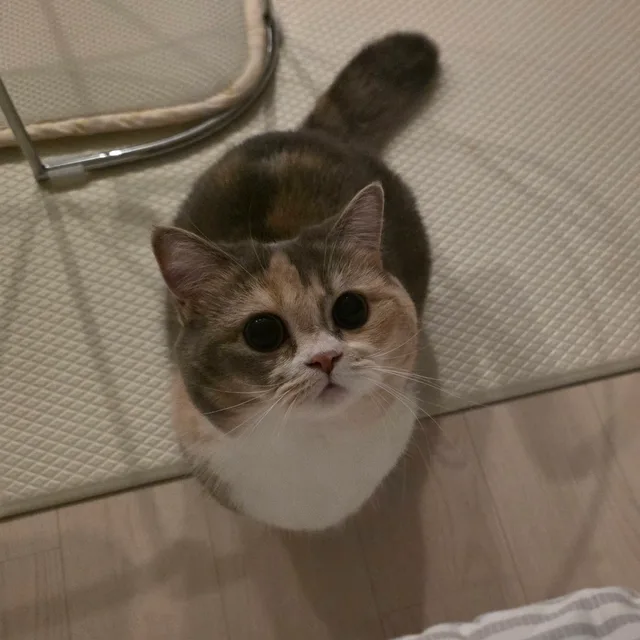 스리