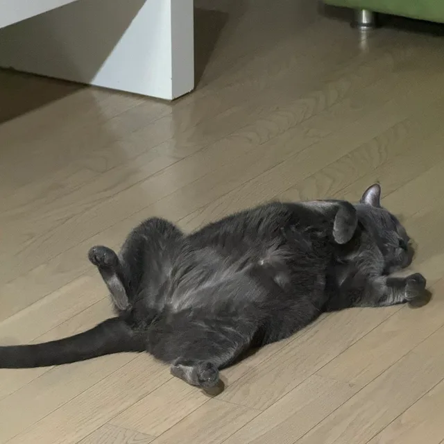 도돔