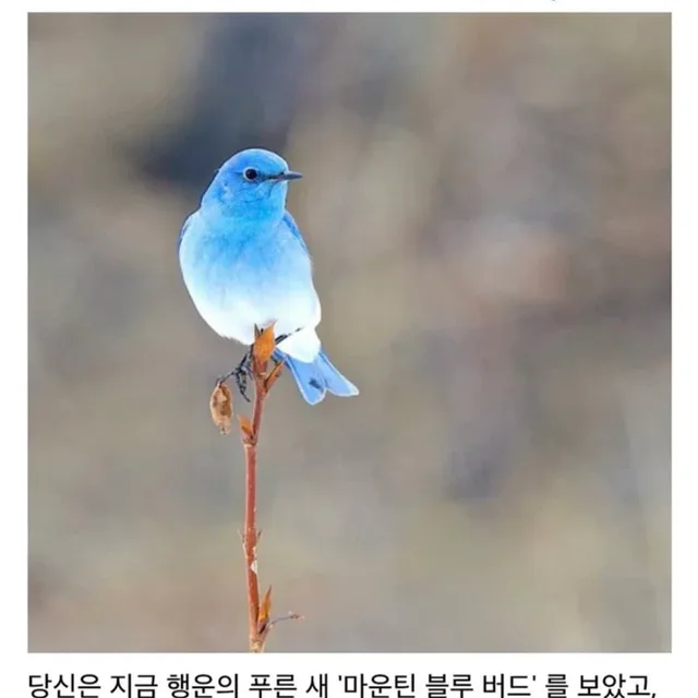 불면증