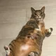 림림