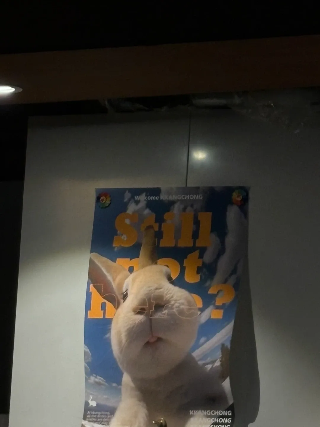 123