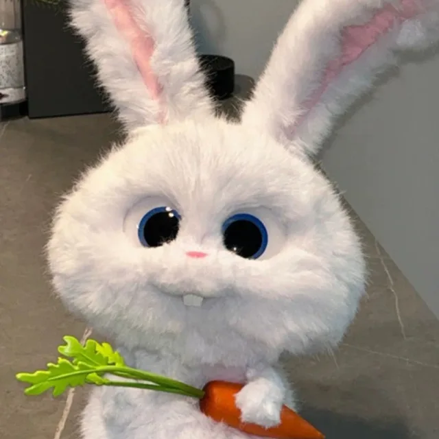 행복당근
