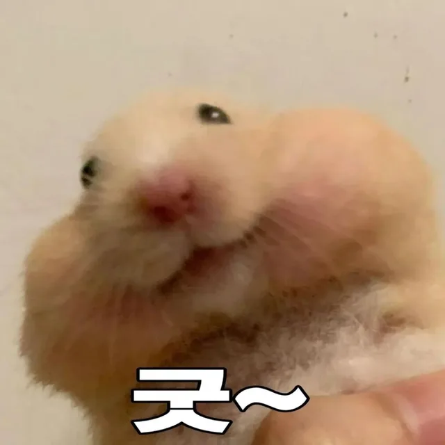 호다예다