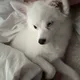 블리맘