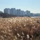 연근마켓