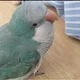 하하luna
