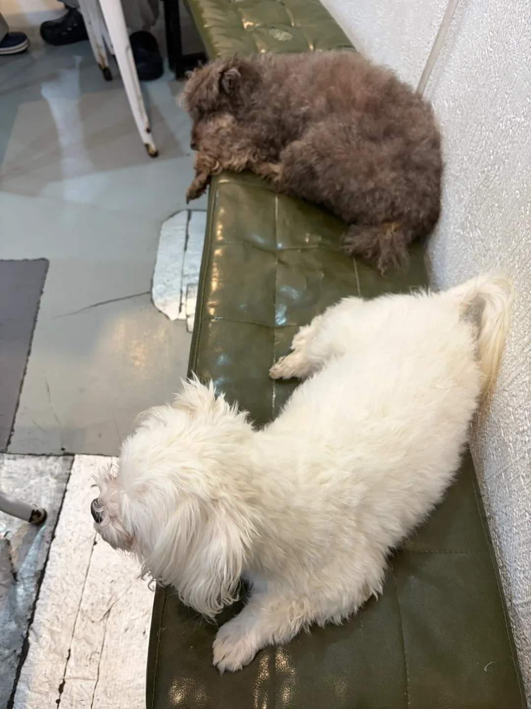 한강