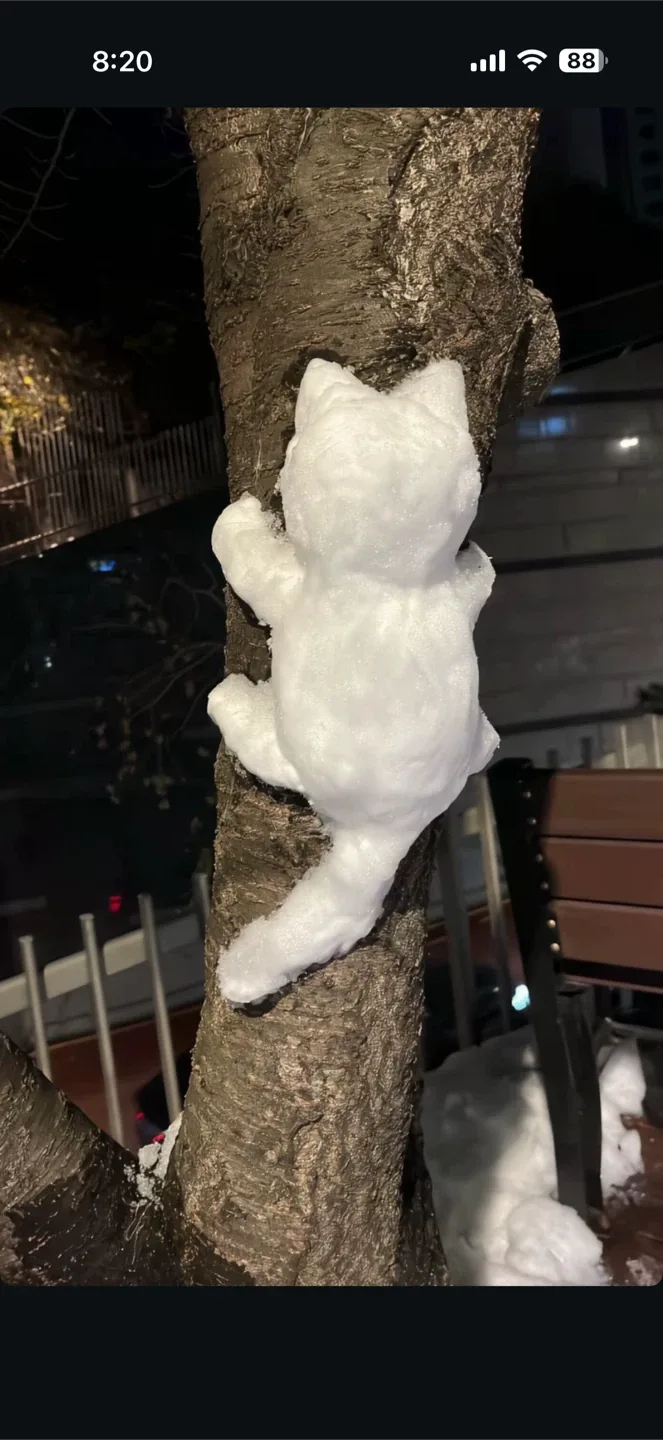 당근을흔들어주세요