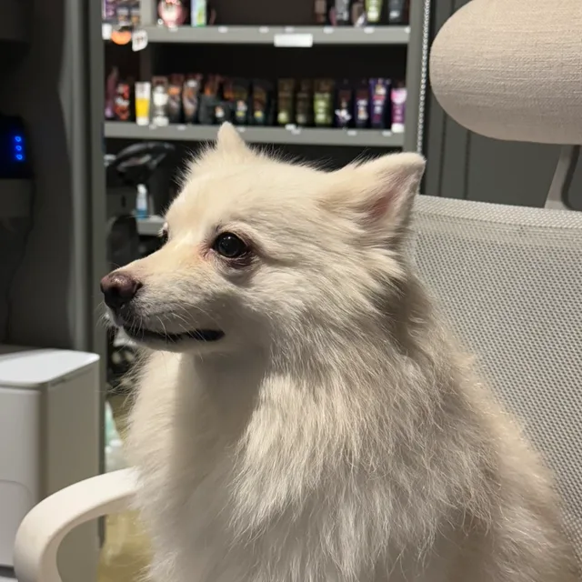 옌니