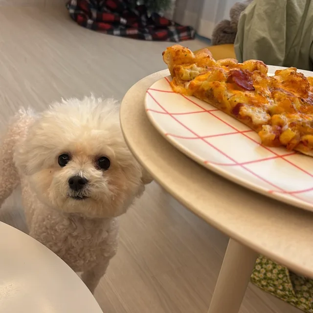 자두