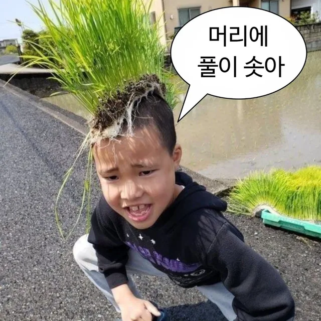 밤티전문가