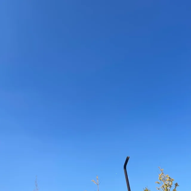 찡긋