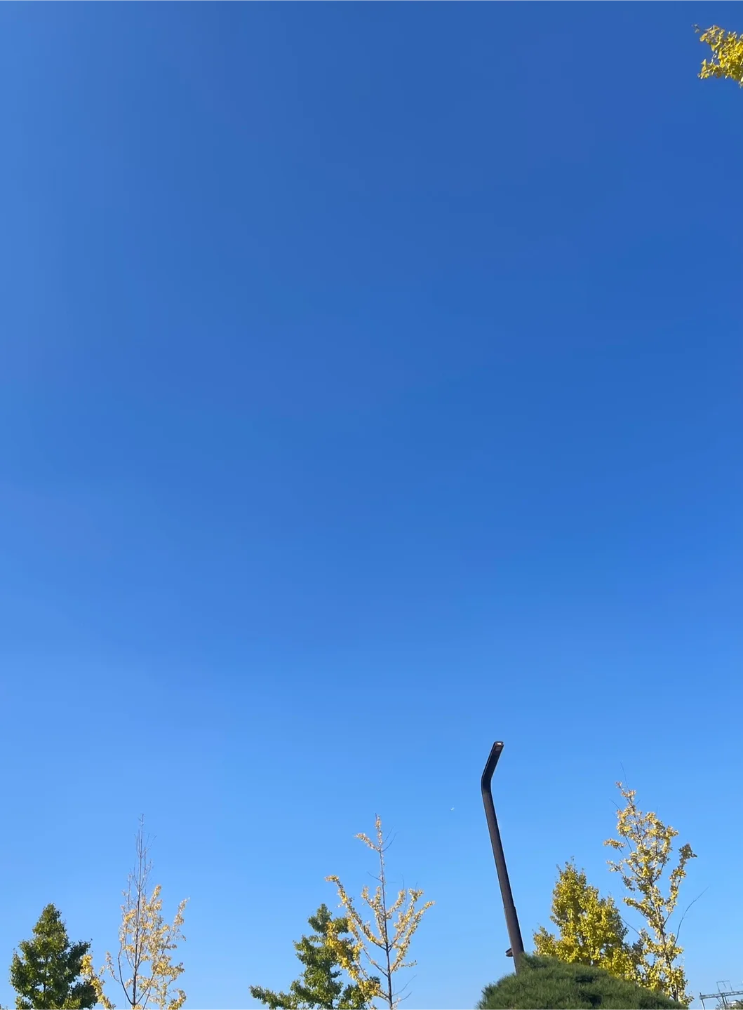찡긋