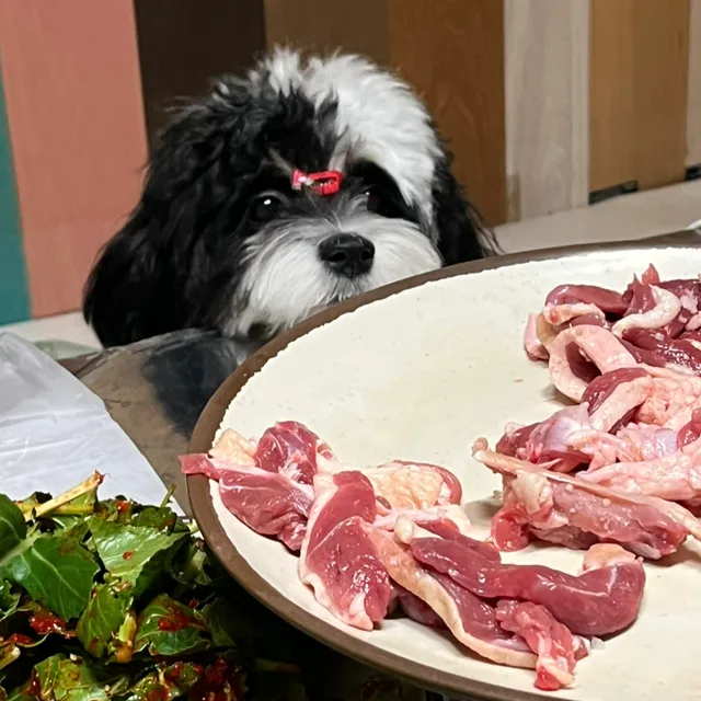 콩주