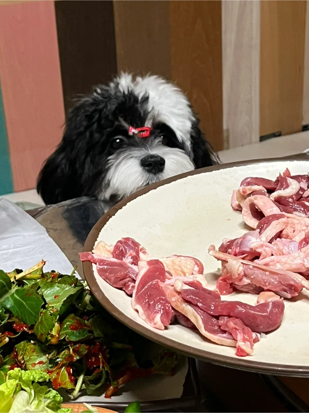 콩주