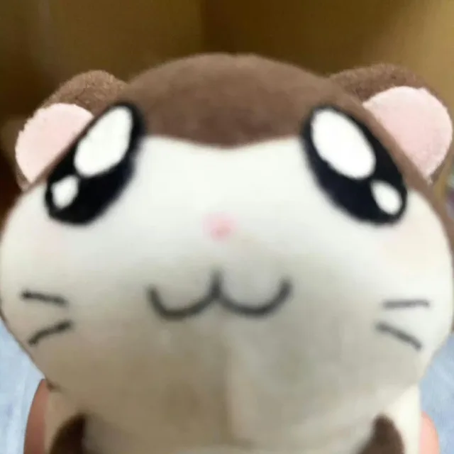 표삐