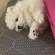 짱짱