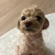 코코낸내