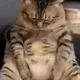 복복복