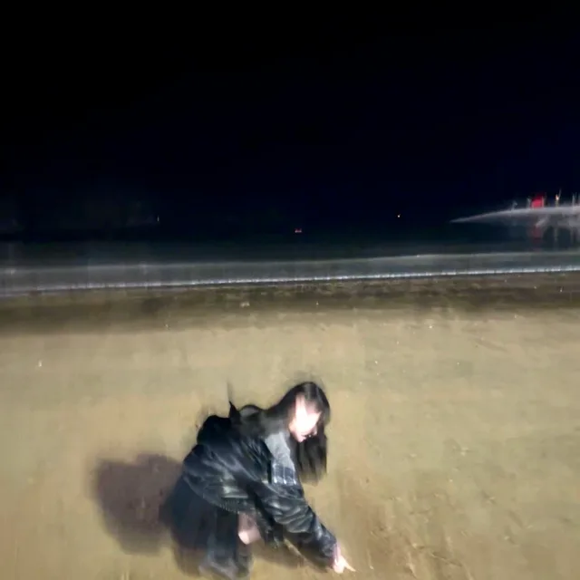 바니바니당근당근