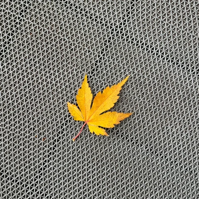 베러