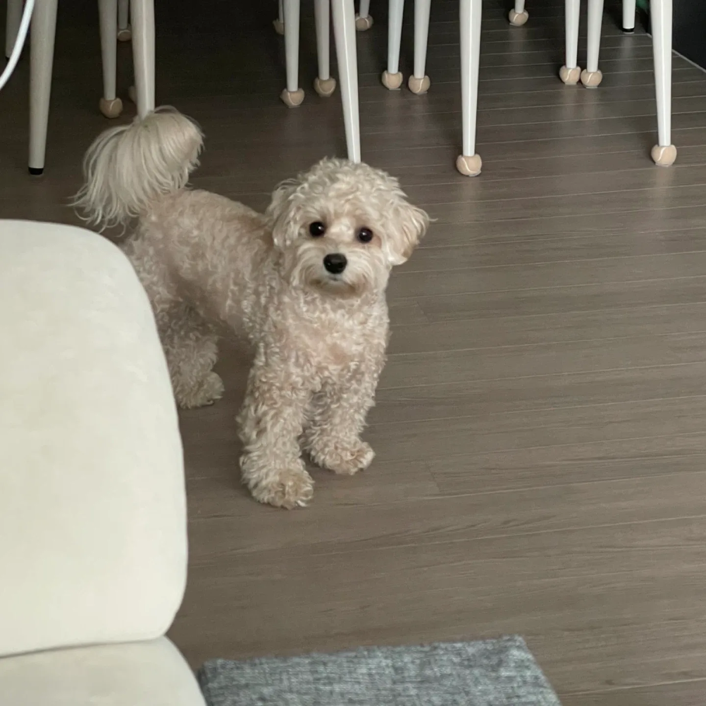 금동