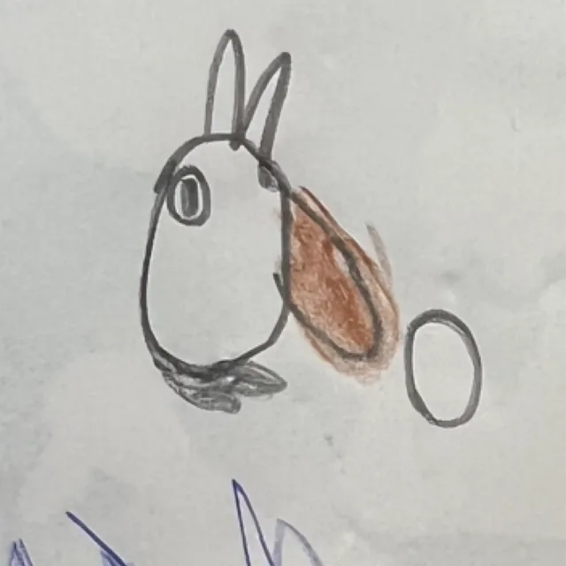 눈에좋은당근