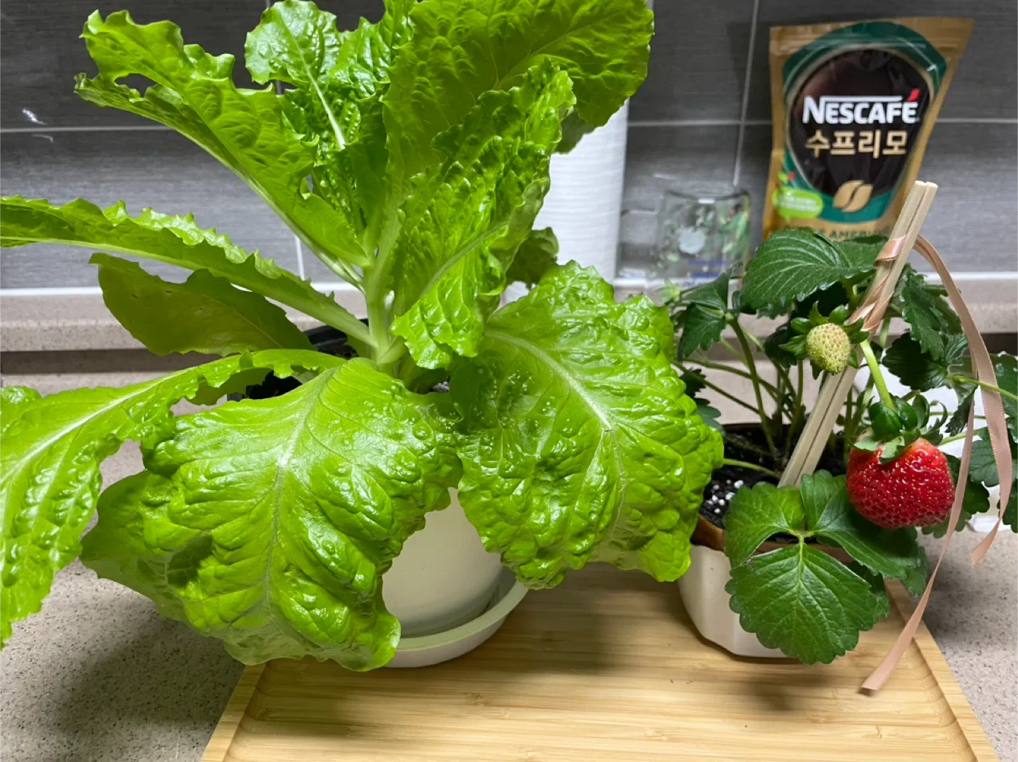 카라