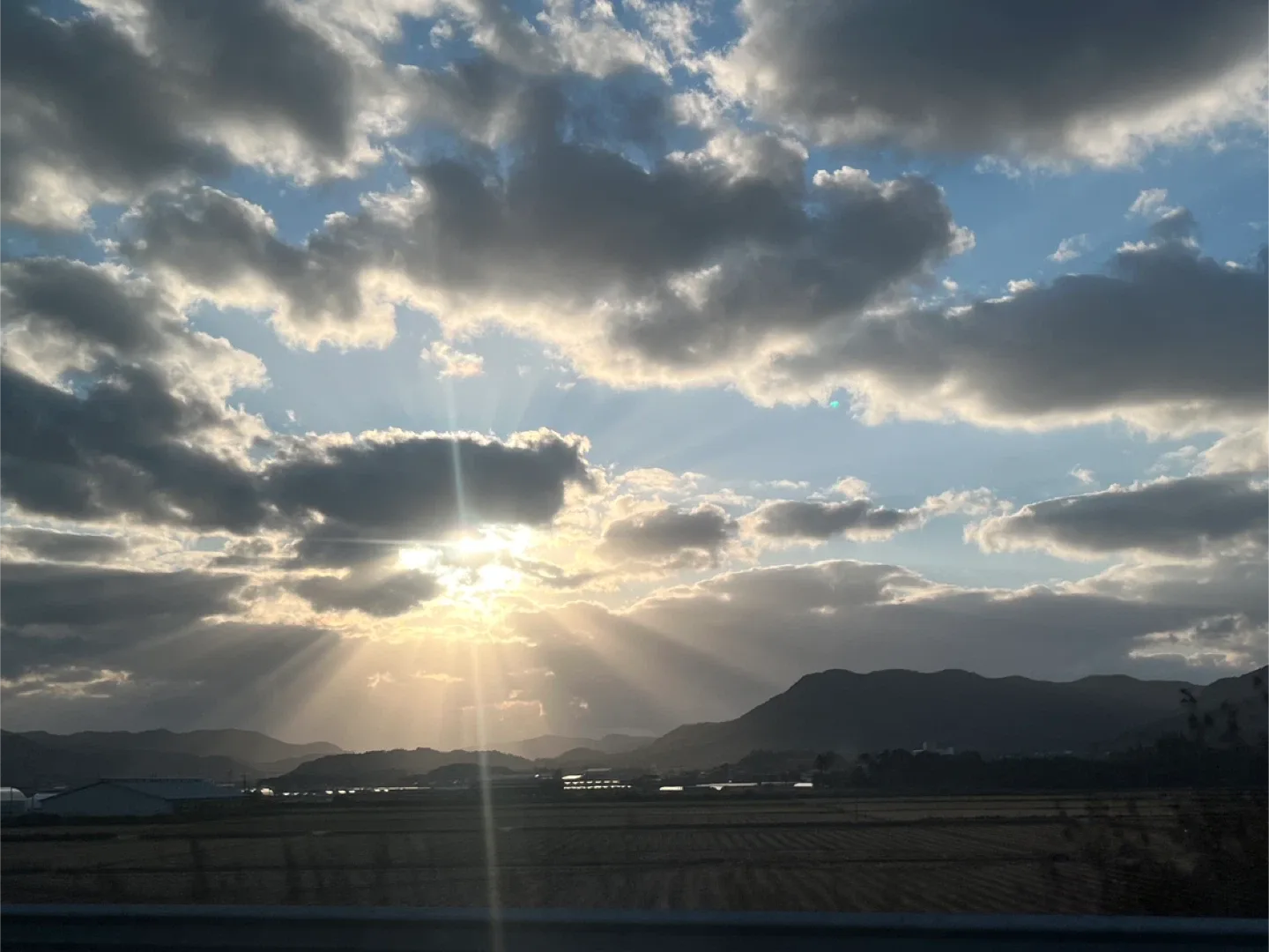 션바람