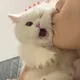 아지