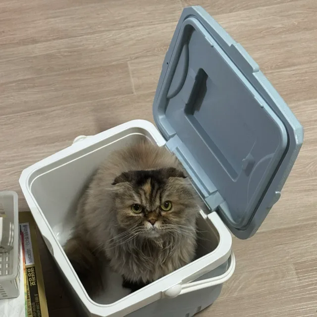 솔이대장