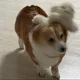 아옳옳