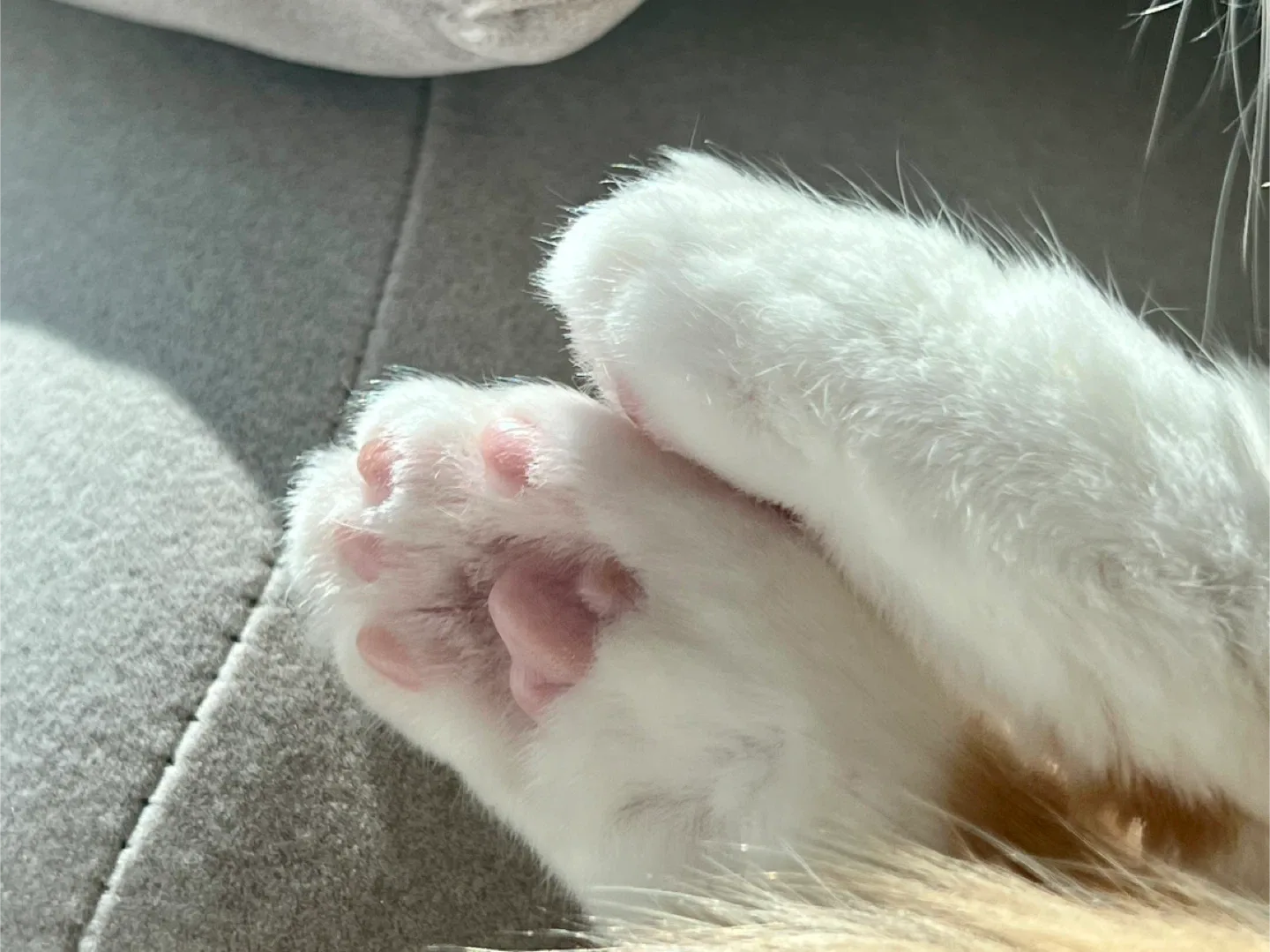 히꾸