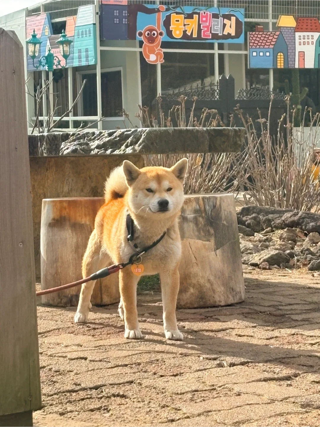 두바이쫀득국밥