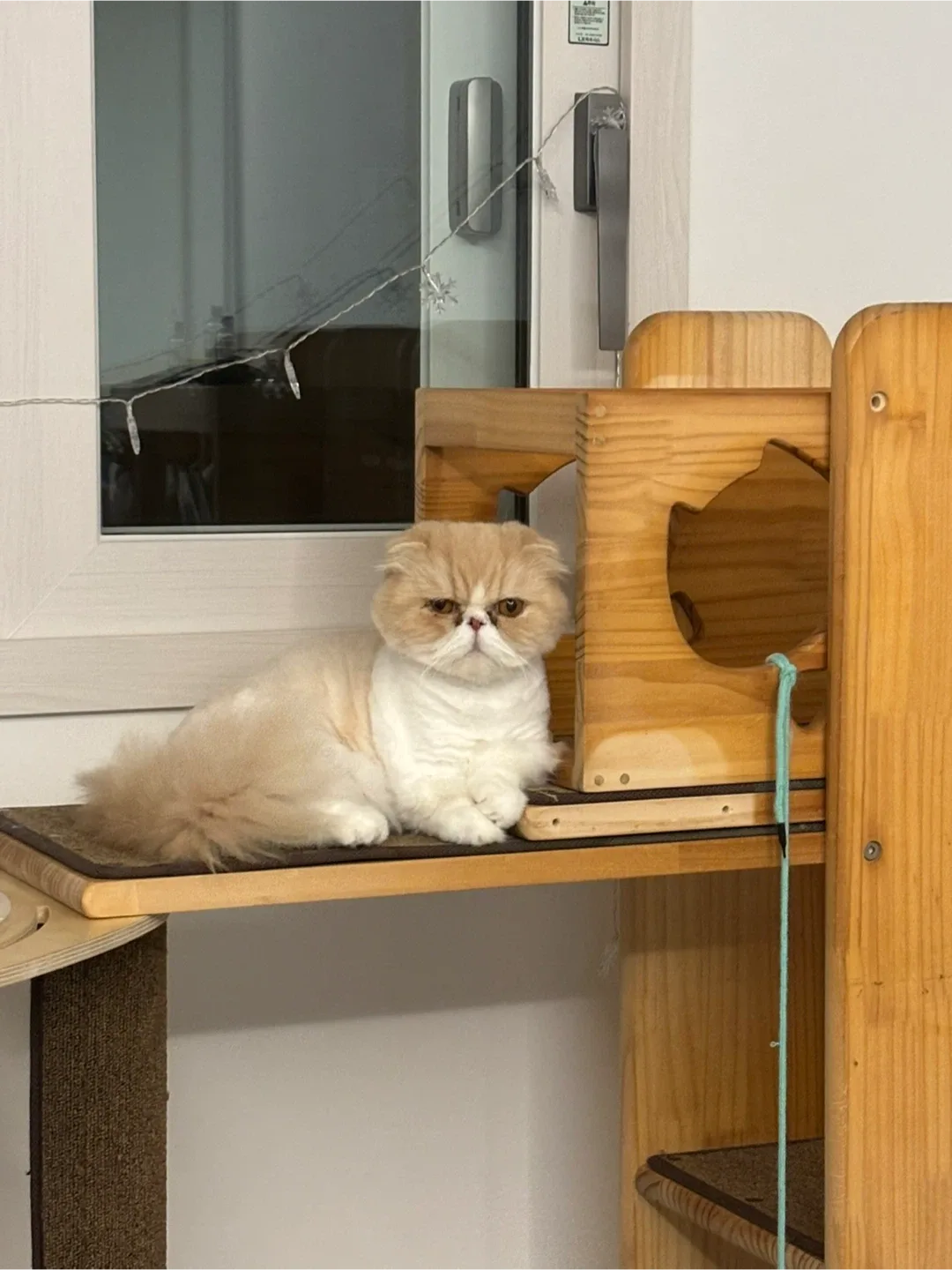 노란종이